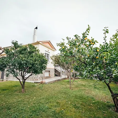 Dafni'S Home Volos Exterior photo